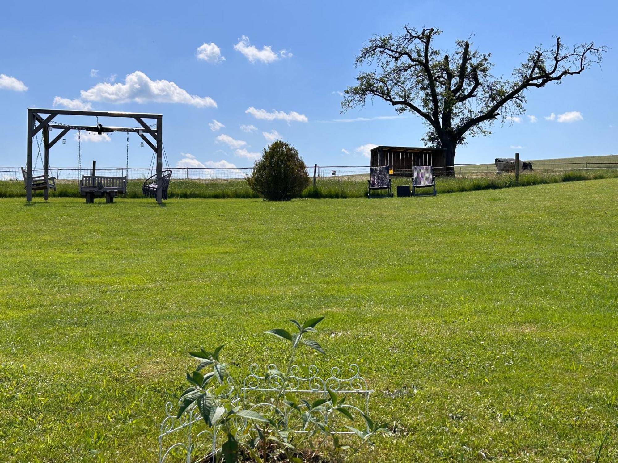 Ferienhaus Vetter Saechsische Schweiz 18 Kurort Gohrisch Dış mekan fotoğraf